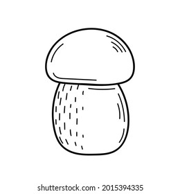 Cute edible mushroom in doodle style. Ingredients for cooking, salads. Autumn plant harvesting. Vector isolated hand drawn illustration for coloring pages, sketch, outline
