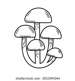 Cute edible mushroom in doodle style. Ingredients for cooking, salads. Autumn plant harvesting. Vector isolated hand drawn illustration for coloring pages, sketch, outline
