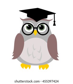 Cute education owl vector 