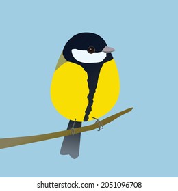 Cute egg shaped greattit bird in the shape of an egg. Blue background