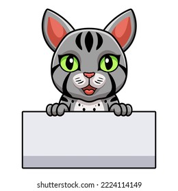 Cute egyptian mau cat cartoon holding blank sign