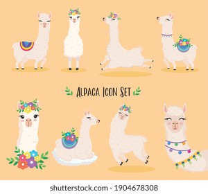 cute eight alpacas exotic animals with flowers vector illustration design