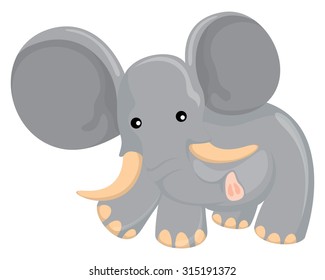 cute elephant
