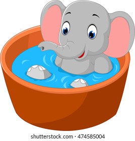 cute elephant