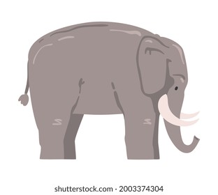 Cute Elephant African Animal, Wild Herbivore Jungle Animal Cartoon Vector Illustration