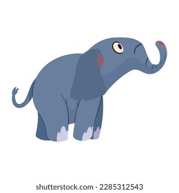 cute elephant baby animal character
