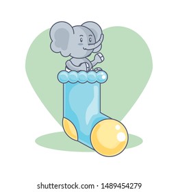 cute elephant baby animal and sock