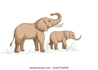 Cute elephant and baby family, with white tusks cartoon animal character design hand drawing sketch illustration in vector style on white background