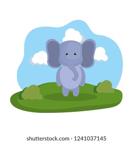 cute elephant in the camp