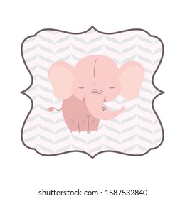 Cute elephant cartoon design, Animal zoo life nature character childhood and adorable theme Vector illustration
