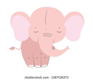 Cute elephant cartoon design, Animal zoo life nature character childhood and adorable theme Vector illustration