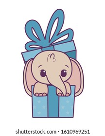 Cute elephant cartoon inside gift design, Animal zoo life nature character childhood and adorable theme Vector illustration