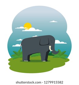 cute elephant in the field scene