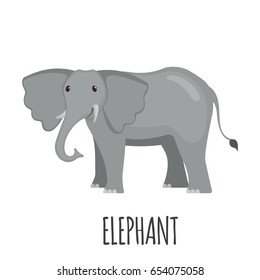 Cute Elephant in flat style isolated on white background. Cartoon african elephant. Zoo animal. Vector illustration.