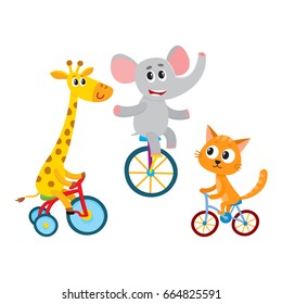 Cute elephant, giraffe, cat animal characters riding unicycle, bicycle, tricycle, cycling, cartoon vector illustration isolated on a white background. Little baby animal characters riding bicycles