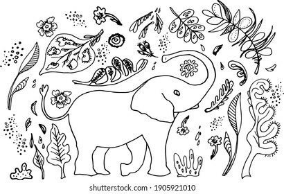 Cute elephant hand-drawn vector illustration. Funny cartoon character in black and white. An exotic animal in a floral frame isolated on a white background. Children's T-shirt design with print.