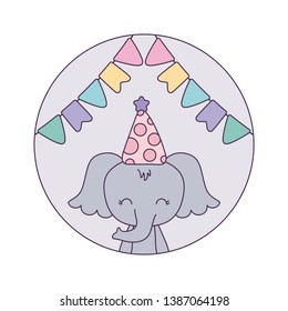 cute elephant with hat party in frame circular