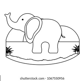 cute elephant icon
