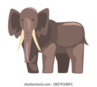 Cute Elephant Jungle Animal, African Safari Travel Cartoon Vector Illustration on White Background