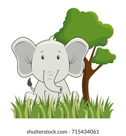 cute elephant in landscape