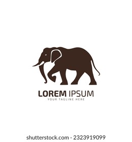 Cute elephant logo. Simple elephant logo. Elephant logo sign vector illustration design