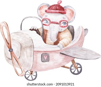 cute elephant pilot flying on airplane, cute   childrens illustration isolated on white background