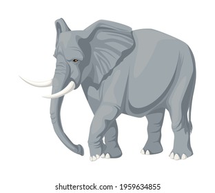 Cute elephant. Stylized african animal.