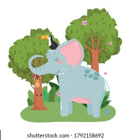 süßer Elefant mit Toucan und Affe, der auf Ackergras-Blätter hängt Natur wilder Cartoon Vektorgrafik
