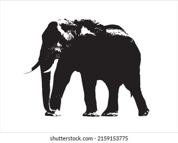 Cute elephant, vector childish illustration in flat style Pro Vector.eps