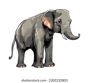 Cute elephant walking, isolated on white background icon