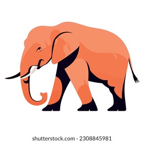 Cute elephant walking over white