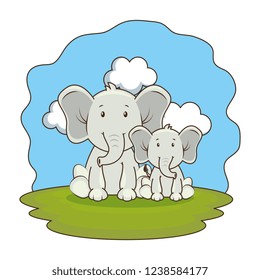 cute elephants couple in the camp