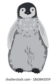 Cute emperor penguin chick. Hand drawn vector animal illustration. Realistic colored drawing of wild bird. Cartoon picture isolated on white. Single element for design, print, card, decor, sticker etc