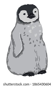 Cute emperor penguin chick. Hand drawn vector animal illustration. Realistic colored drawing of wild bird. Cartoon picture isolated on white. Single element for design, print, card, decor, sticker etc
