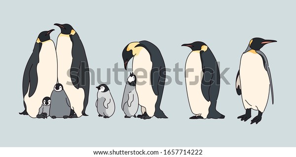 かわいい帝国ペンギン リアルな図面 手描きのスタイルのベクター画像デザインイラスト のベクター画像素材 ロイヤリティフリー