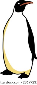 Cute Emperor Penguin simple Illustration