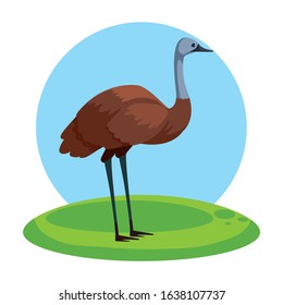 Cute emu with background landscape. vector illustration design.