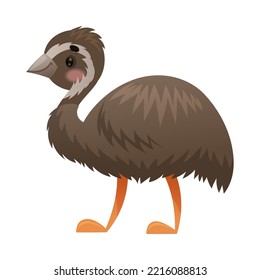 Cute Emu Bird with Long Neck as Australian Animal and Endemic Fauna Vector Illustration