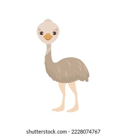 Cute Emu icon. Funny Australian bird. Vector cartoon flat illustration.