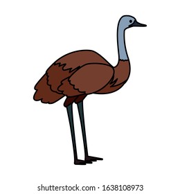 cute emu on white background vector illustration design