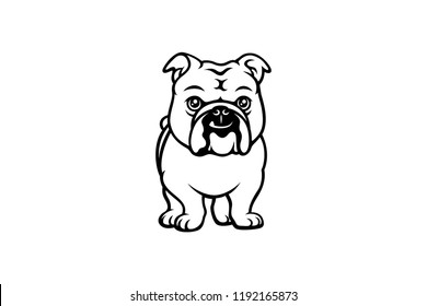 Cute English Bulldog