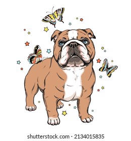 Cute english bulldog with butterflies. Vector illustration. Stylish image for printing on any surface