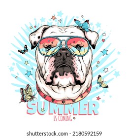 Cute english bulldog with butterflies.Summer illustration. Stylish image for printing on any surface