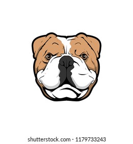 cute english bulldog cartoon head vector template