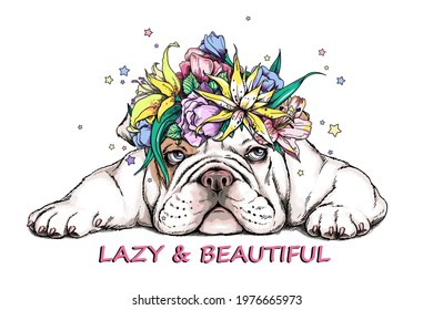 Cute english bulldog in a floral wreath. Lazy and beautiful illustration. Stylish summer image for printing on any surface	