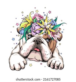 Schön englischer Bulldog im Blumenkranz. Vektorgrafik im handgezeichneten Stil. Bild für den Druck auf einer beliebigen Oberfläche	