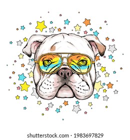 Cute english bulldog head on a background of stars. Image for printing on any surface	