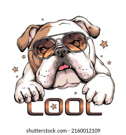 Cute english bulldog portrait. Dog in sunglasses. Vector illustration. Stylish image for printing on any surface