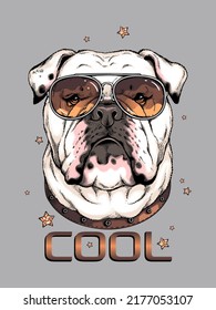 Cute english bulldog portrait. Dog in sunglasses. Vector illustration. Stylish image for printing on any surface