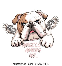 Cute english bulldog puppy with angel wings. Vector illustration in hand-drawn style. Stylish image for printing on any surface	